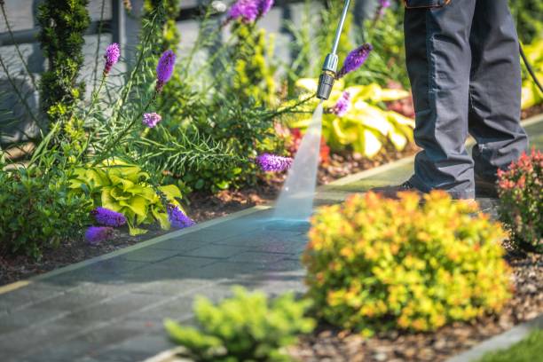 Trusted Horn Lake, MS  Pressure Washing Services Experts